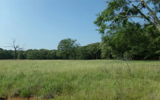 Partially Wooded Country Acreage, Bagwell TX, Red River Co