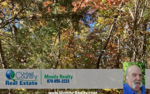 Small Recreational Acreage In Fulton County Arkansas