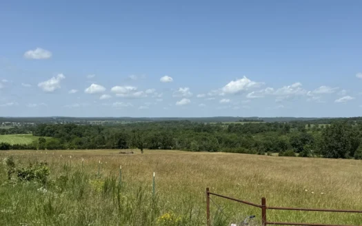Pasture Land with Highway Frontage in Cabool, MO – 14 Acres