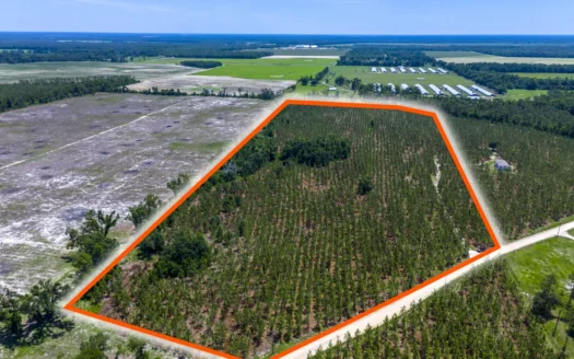 32 Acres for Sale in Madison County, Florida