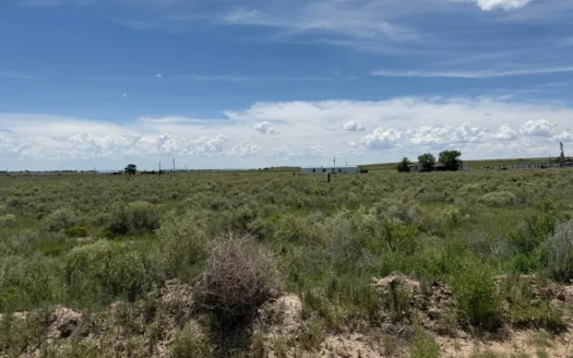 El Rancho Grande Lot for Sale in McIntosh NM