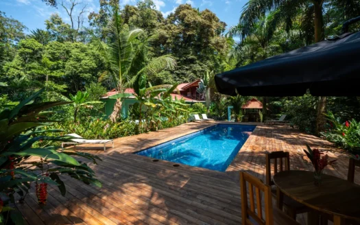 Epic Bed & Breakfast with Pool and One-of-a-Kind Skate Bowl