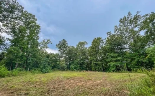 30 Acres of Prime Hunting Property in Hinds County