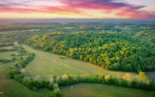 114.44 Pristine Acres For Sale In Greene County, Tennessee