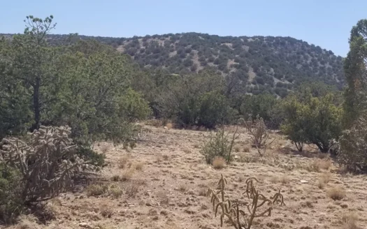 75 Acres Off-Grid in Estancia NM | Mountain Retreat Land