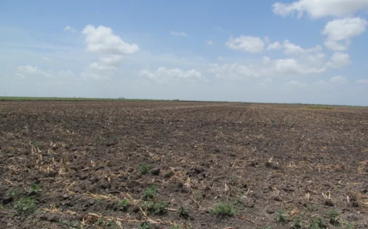 Hard to find income producing 100 acre farmland