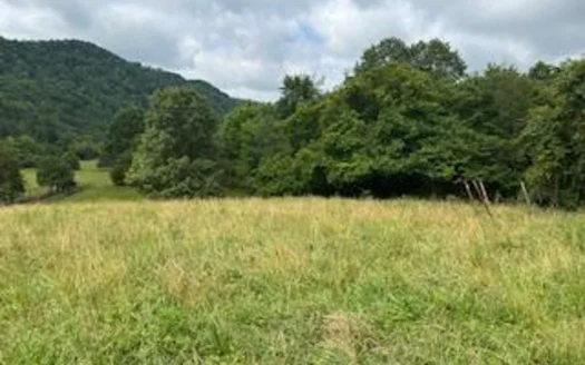 31.5 Surveyed Acres For Sale in Hancock County, Tennessee