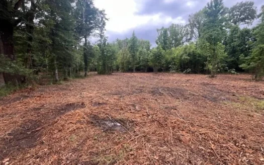 10.82 Prime Commercial Property in Raymond, MS