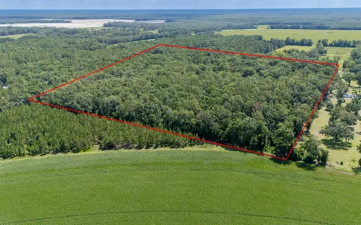 29 Acres For Sale in Old Town, FL