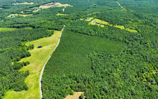 33 Acres of Opportunity in Scenic Halifax County, VA