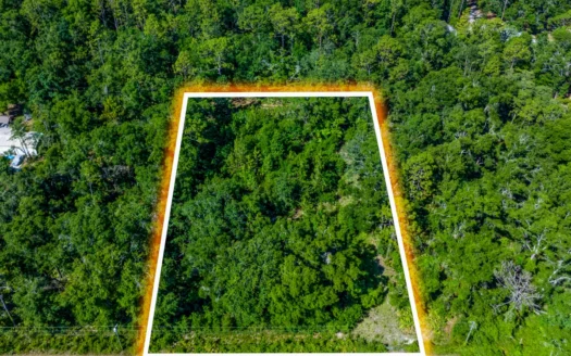 1 Acre Deeded Lot for Sale in O’Brien, Florida