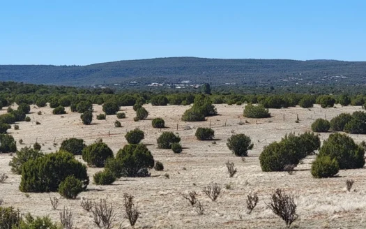 40 Secluded Acres in Estancia NM | Manzano Foothills Land