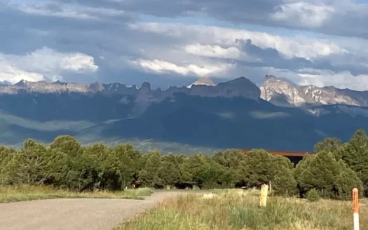 Mountain View Lot for Sale in Ridgway, Colorado