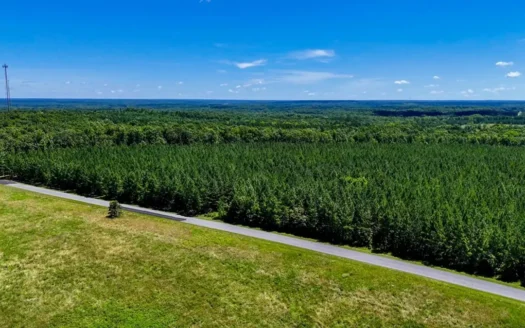 Build Your Vision: 33-Acre Scenic Country Estate