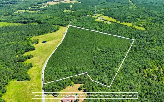 35 Acres of Opportunity in Scenic Halifax County, VA
