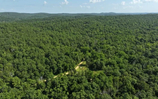 40 Secluded Acres in Southern Missouri near Bull Shoals Lake