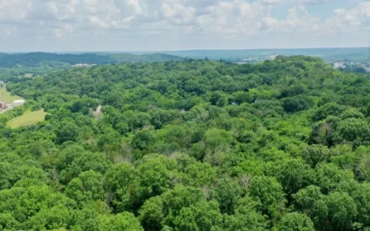 99.55+/- Acres For Sale In Fayetteville, Tennessee