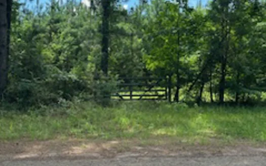 Ideal Building Site on 8yr Old Loblolly Pine Plantation