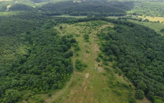 Cattle Farm with Hunting Opportunities in Dixon, MO