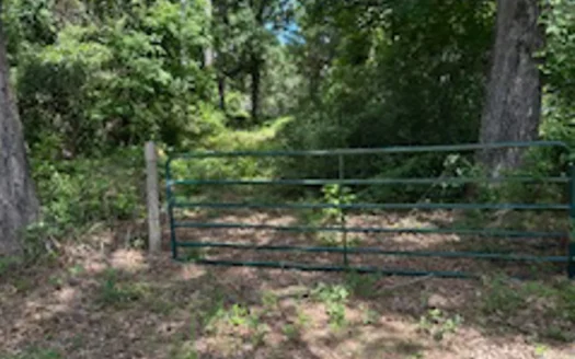Acreage Near Harleton Texas Ideal for Hunting and Recreation.