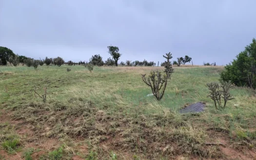2.2 Acre Ridge Lot – Moriarty NM Land with Views