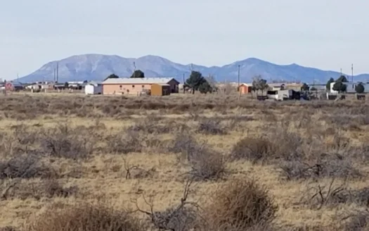 2 One-Acre Lots in McIntosh NM | Build or Homestead