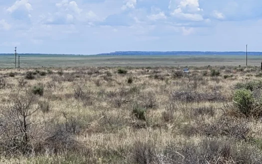 Secluded 60-Acre Retreat in McIntosh, NM – Torrance County