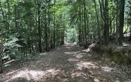 42 Acres in Autauga County – Secluded, Fenced, and Hunt-Ready!