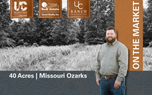 Wooded Acreage for sale in the Missouri Ozarks