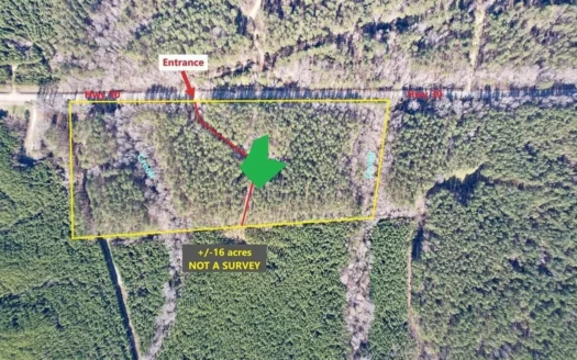 +/-16 Acres – Timber & Creek Frontage – Hwy 30 MS