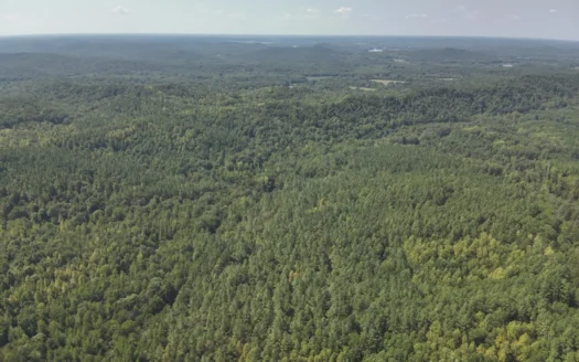 231.15 Acres Timber Land For Sale in Clifton, Tennessee
