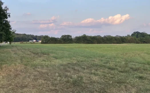 Build Your Dream Home On This 3.81 Acres