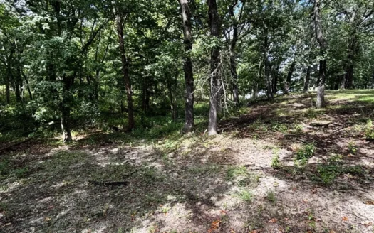 Parcel for Sale in Thayer, KS