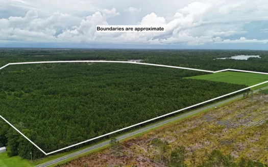 Rare 210-Acre Tract with Green’s Creek Frontage