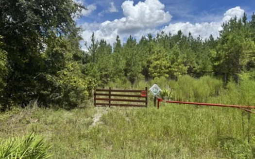 Land For Sale In Live Oak Florida Close To Suwannee River