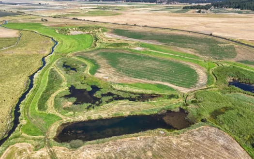 Live Water 95 +/- Ac of Income Producing Property!