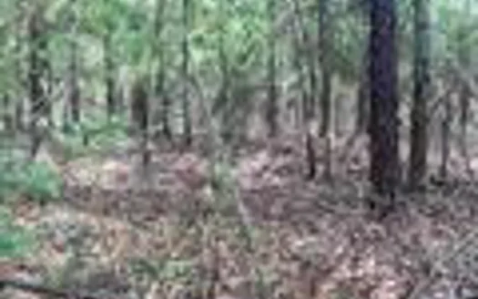 Big Land for sale In Rome Alabama