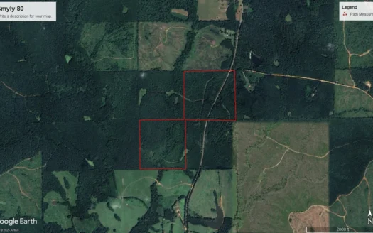 Thomaston, Alabama Family Hunting and Homesite Property for Sale