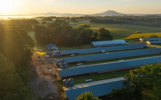 Productive Poultry Farm with Residence & Mountain Views Ararat NC