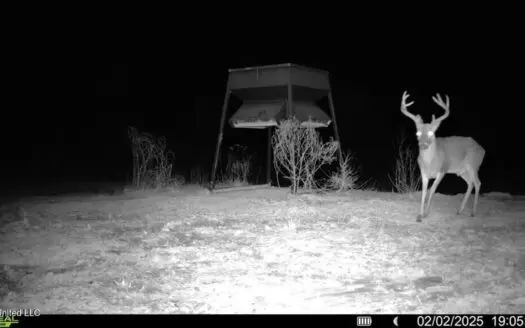 Catahoula Parish 290 Acres Hunting & Income Property