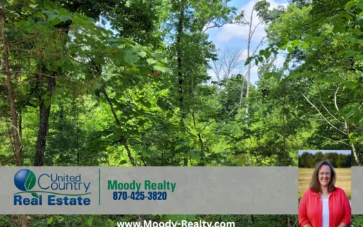 Secluded 22.4 Acres +/- Near Spring River And Historic Hardy Ar