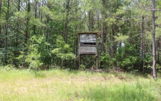 40 Acres of Wooded Land For Sale Lincoln County Mississippi