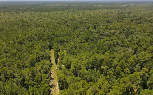 110-acre tract located off the desirable Laird Road in Kountze