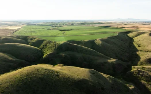 Central Montana Farm & Ranch Property | 3,356± Acres Total