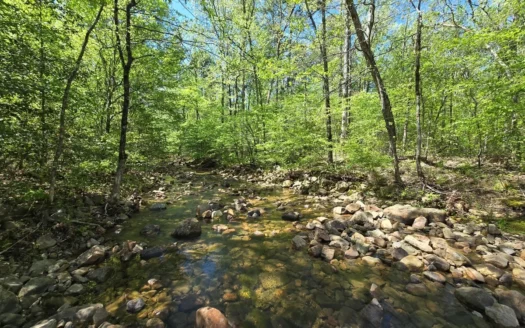 Land For Sale Adjoining National Forest & Mountain Stream