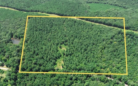Lincoln Parish Timberland for Sale
