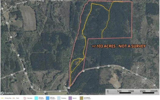 +/-103 Acres North MS Timberland with Creek & Hunting