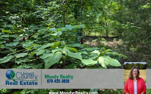 Small Acreage In Fulton County Arkansas