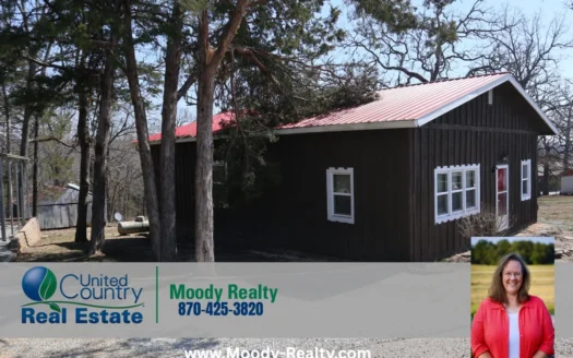 Cottage/Bungalow With A View Of Lake Norfork In Arkansas