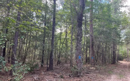 Hunting Land for sale within West Bay WMA near Elizabeth, LA